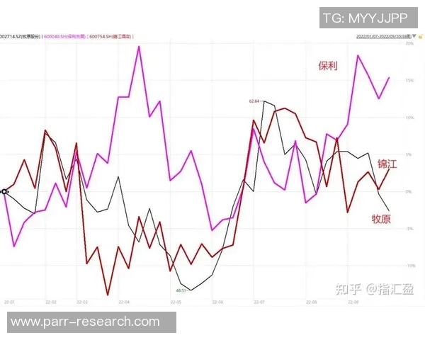 成都排球队实力飙升再创新高引发全国关注与期待 成都排球队实力飙升再创新高引发全国关注与期待