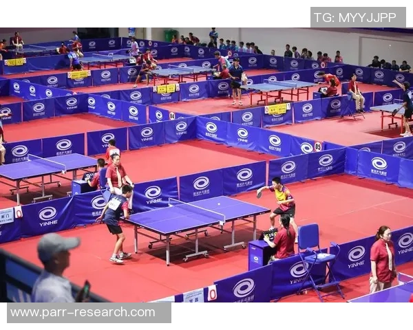 武汉乒乓球队在全国比赛经验排行榜中荣获第八名的辉煌成就