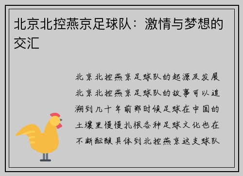 北京北控燕京足球队：激情与梦想的交汇