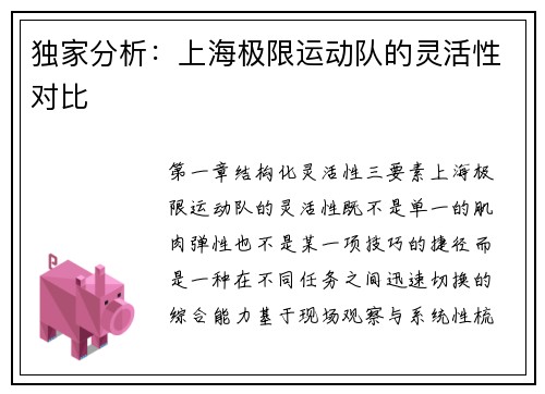 独家分析：上海极限运动队的灵活性对比