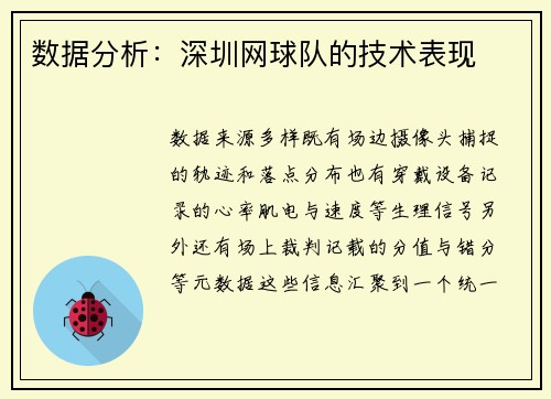数据分析：深圳网球队的技术表现